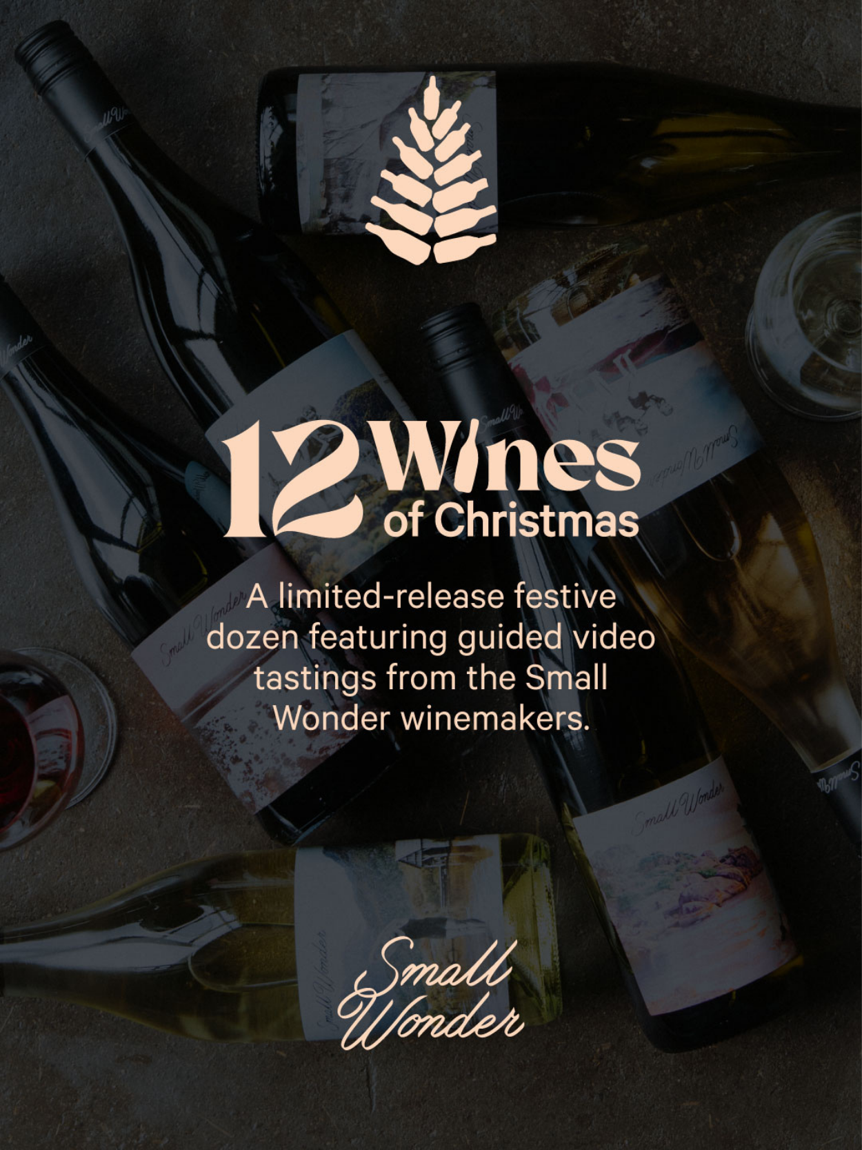 12 Wines of Christmas