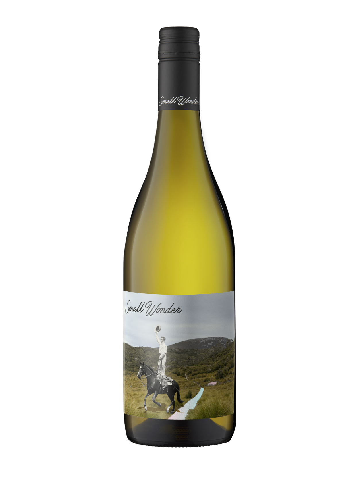 2025 Landscape Blanco White