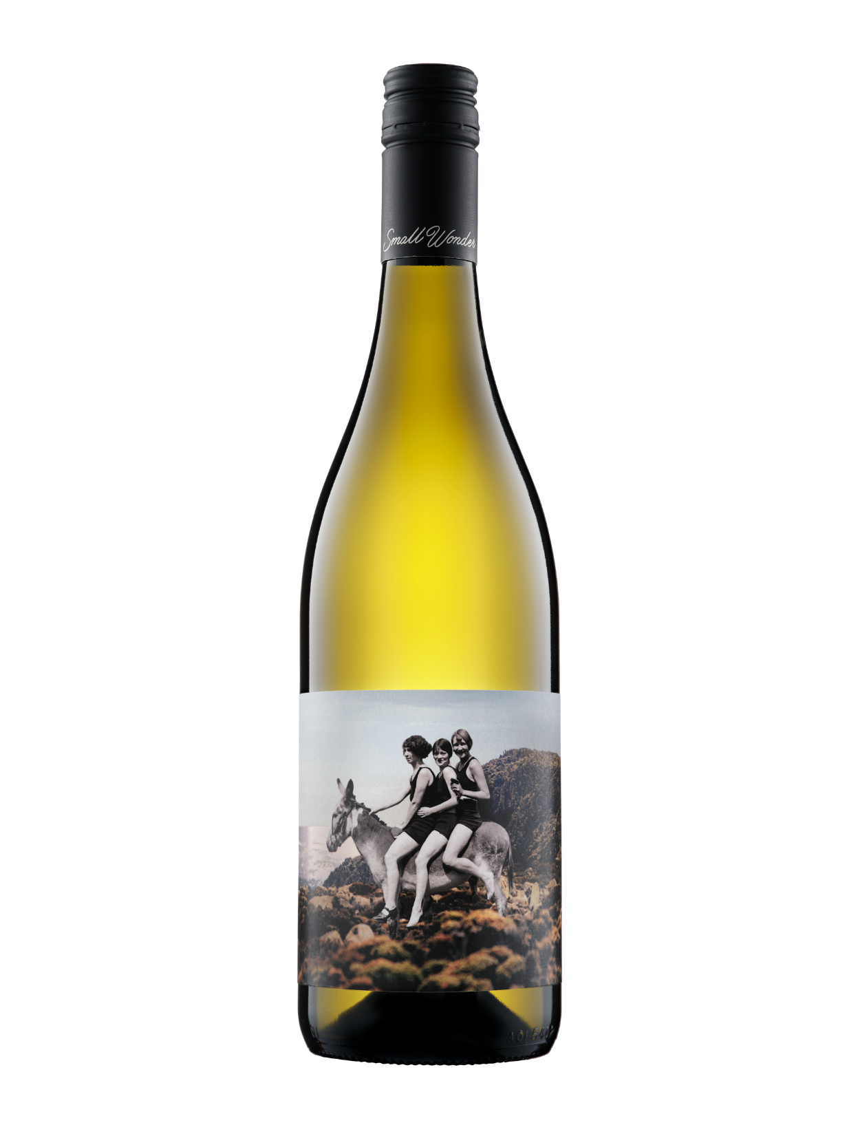 2023 Landscape Chardonnay