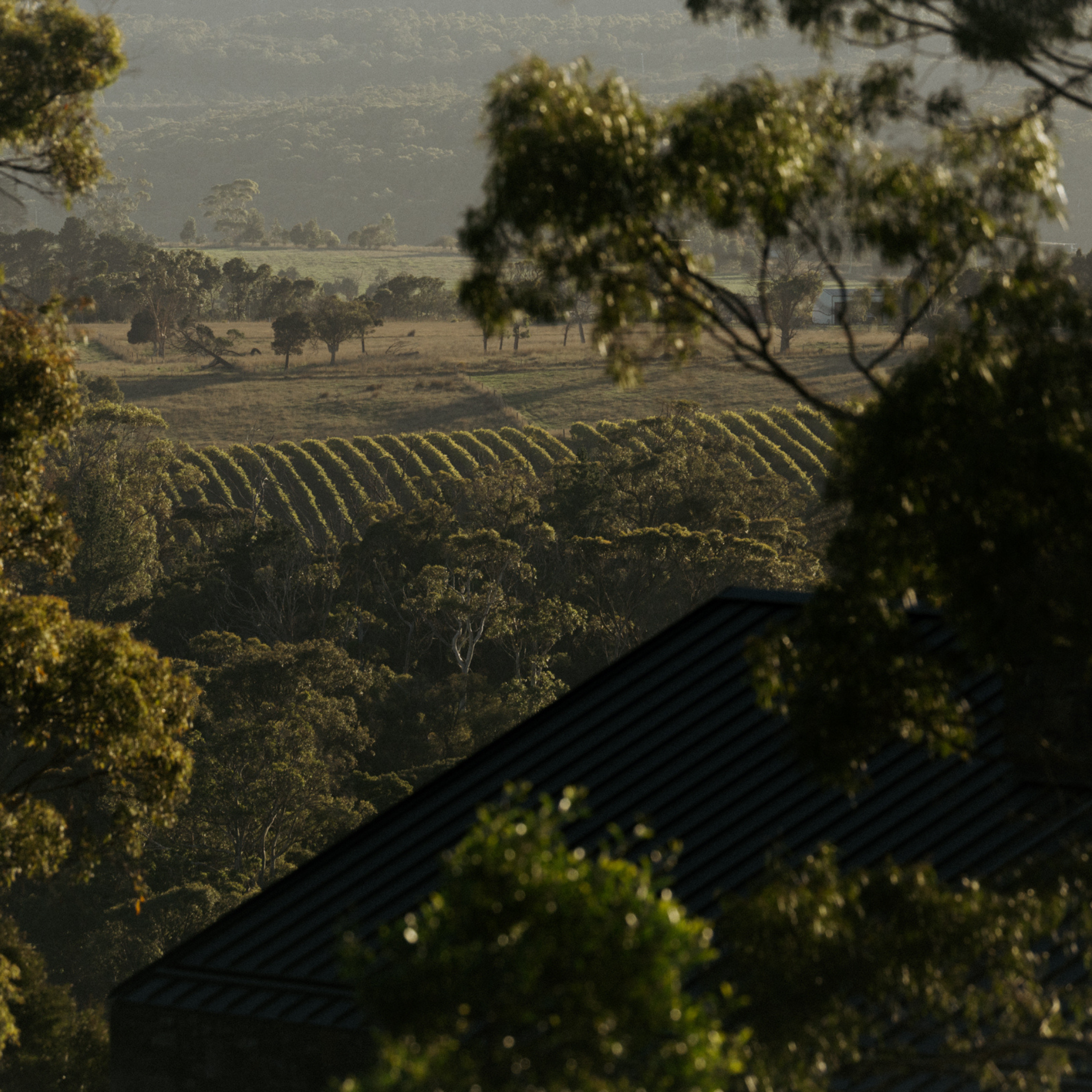 Wonder in the Making: Episode 2 — Sustainability in the Build