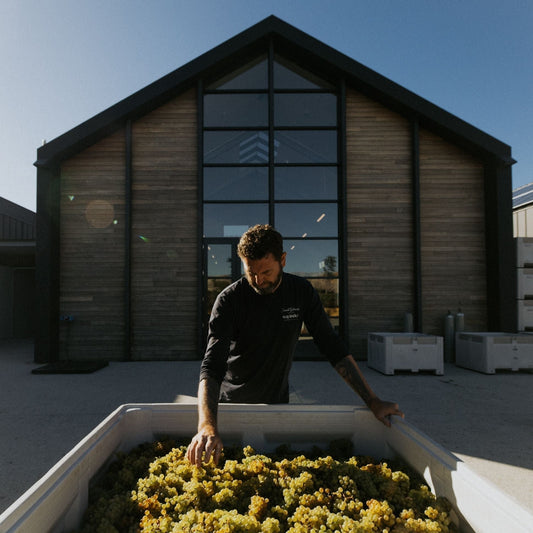 Wonder in the Making: Episode 1 — The Winery