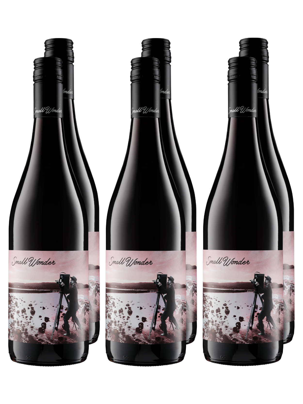 2025 Landscape Pinot Noir 6-pack