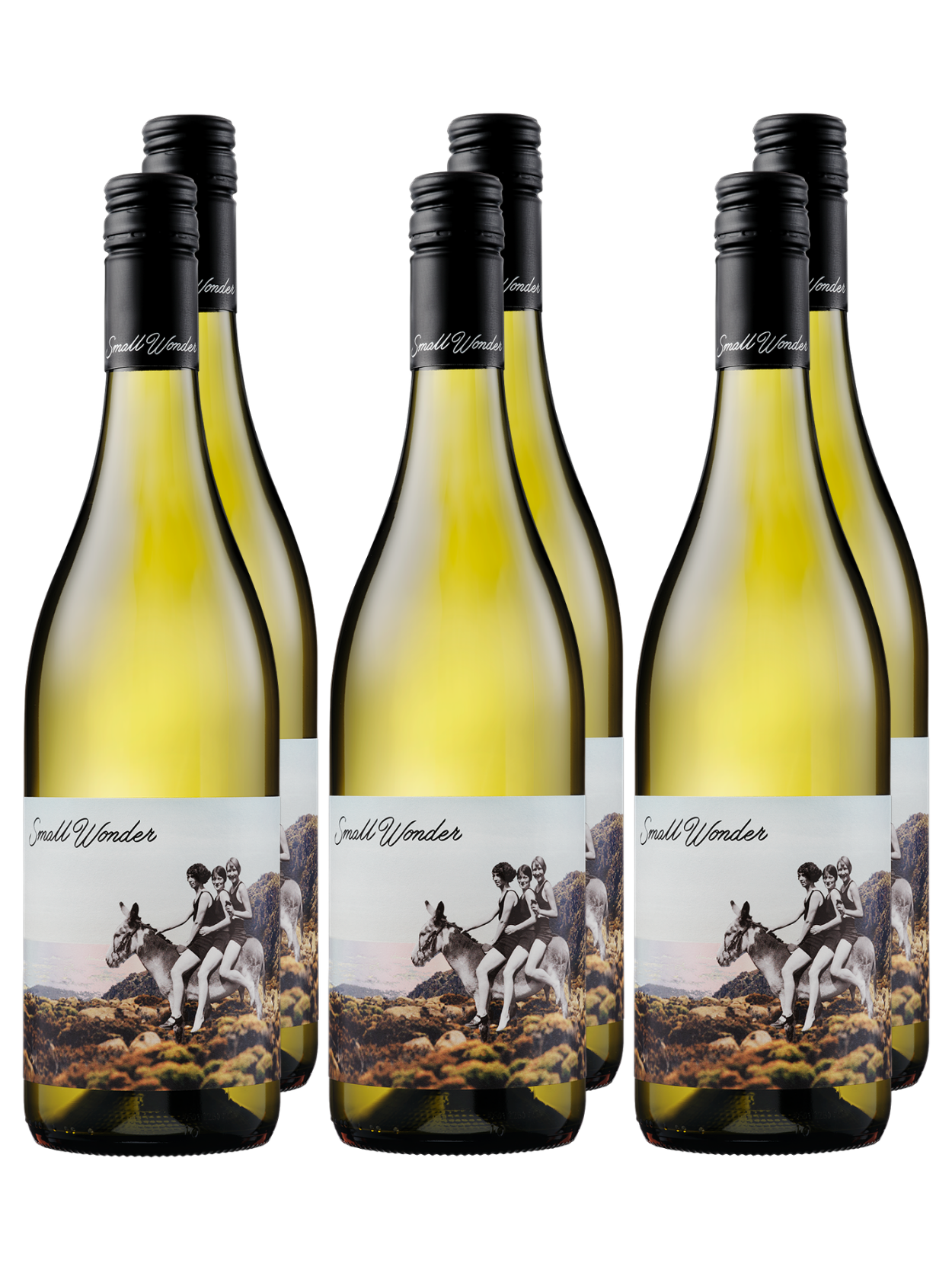 2024 Award-Winning Landscape Chardonnay 6 Pack