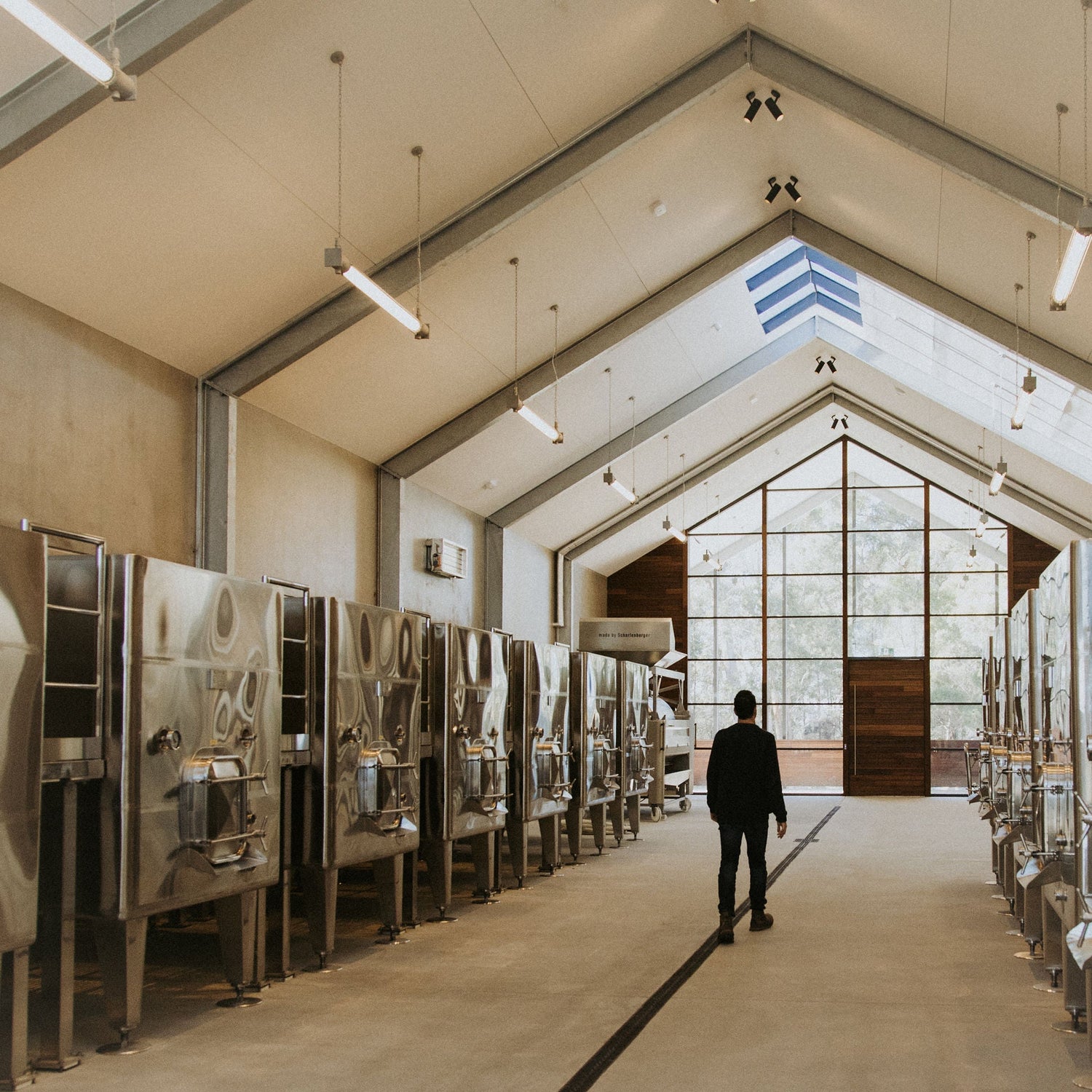 Winemaker, Andrew Trio, walking through the Small Wonder winery with rows of stainless steel tanks.