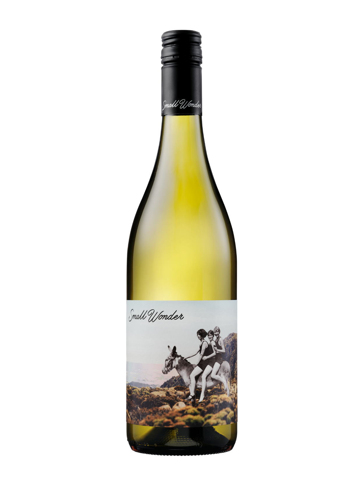 2024 Landscape Chardonnay